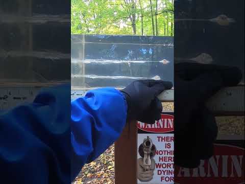 357 sig (Speer Gold Dot VS Federal HST) Ballistics Gel Test