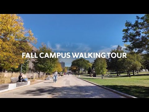 Campus Walk on a Fall Day | Relaxing Music & Nature Sounds