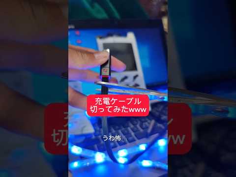 充電ケーブルを 30 分以内にお届けします - こちらからお手続きいただけます