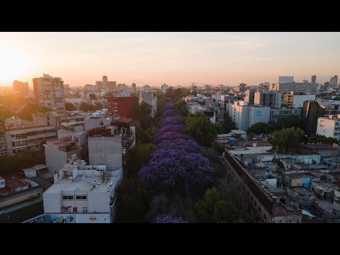 The Colors of Mexico