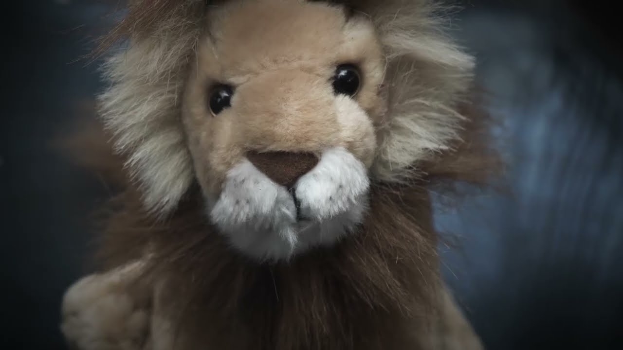 World Lion Day 2022 | Blood Lions | What would our children think?