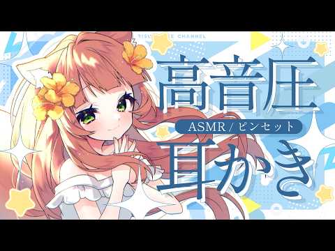 【ASMR/耳かき】耳垢除去👂パリパリが気持ち良い両耳かき【KU100/earcleaning/睡眠導入/Vtuber/こりす/アーカイブ無し/repeat】