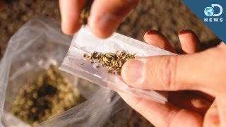 What's The Deal With Synthetic Weed?