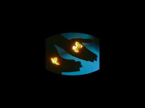 [FREE] Ateyaba x La Fève x Josman Type Beat - Butterfly Effect