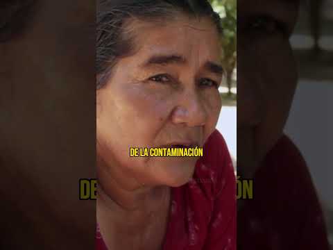 LAS BRIGADISTAS - Reseña