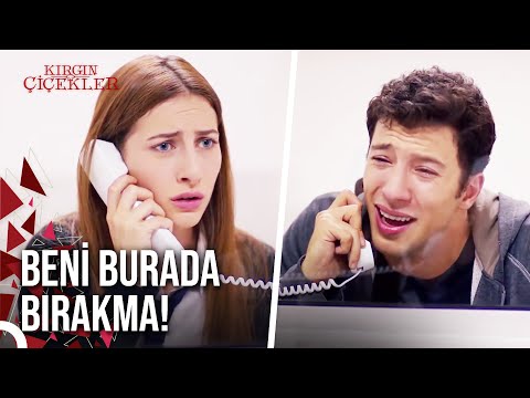 Cemre Lütfen Şikayetini Geri Al! | Kırgın Çiçekler