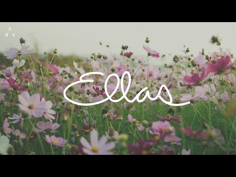 15.01.26 | Ellas online | 8 PM