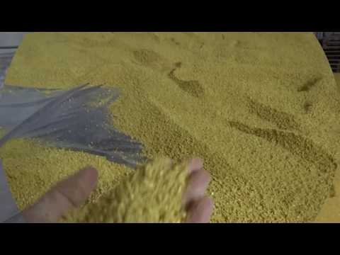 Экструдирование люпина и сои. Работа экструдера ПЭ-1800