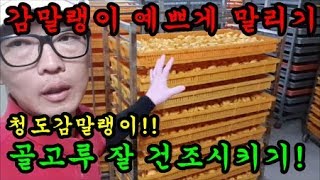 청도감말랭이를 예쁘게 잘건조시키는 방법에 대해서 이야기 해보았어요