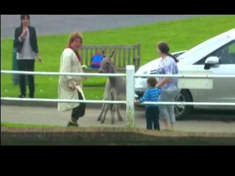 Fool Britannia - Village Idiot