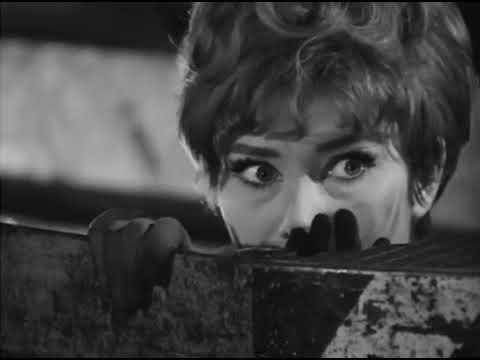 Die Karte mit dem Luchskopf · 01  Das Geheimnis der Grossgarage