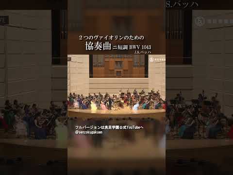 2つのヴァイオリンのための協奏曲 ニ短調 BWV1043