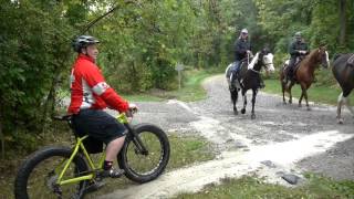 Horses are not permitted on the singletrack, however, crossing paths with equestrian friends using the multi-modal trail is likely... please use proper etiquette!