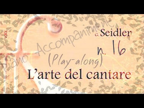 Seidler n.16 - Piano Accompaniment (Play-Along)