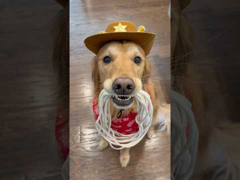 Teddy got a special delivery from @ZukesPets !