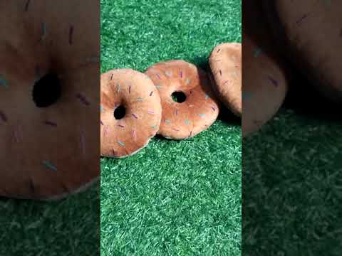 Dog squeaky toys