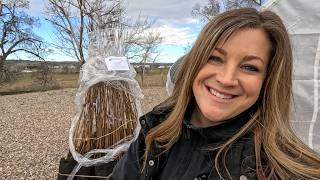 Birch Tree Delivery, Lots of Garden Cleanup & Renovation Update (A Wall Was Moved)! 🌳🌾🏠