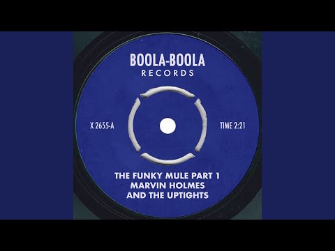 The Funky Mule Part 1