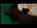 Injection Video Indian Girl Crying Back Said Full Open Im Injection Indian Girl Girlinjectionvlog