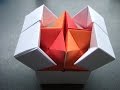 origami - action origami - double star flexicube ...