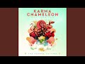 Karma Chameleon (The Voyage Edition)