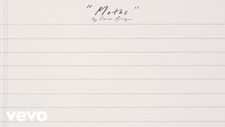 Cover art for Moths