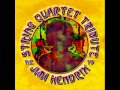 Purple Haze - Vitamin String Quartet Tribute to Jimi Hendrix