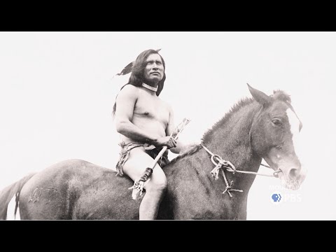 Colorado Experience: Native Horses