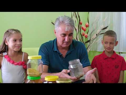 Složno, uspešno! ep. 80 28.09.2021. Gazdinstvo Momčilovića, Žitorađa, pčelarstvo