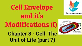 Cell Envelope and its Modifications (I) chapter8 Cell: The Unit of Life (part7 ) (Hindi)