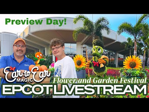 Live webcam of Ear to Ear Magic