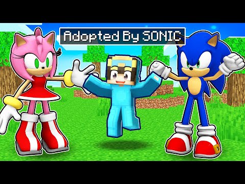 NICO Adopted By SONIC Family in Minecraft - CRAZY Parody!