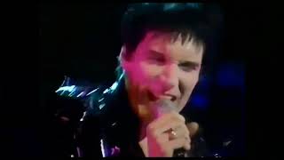 The Cramps &quot;Mule Skinner Blues&quot;