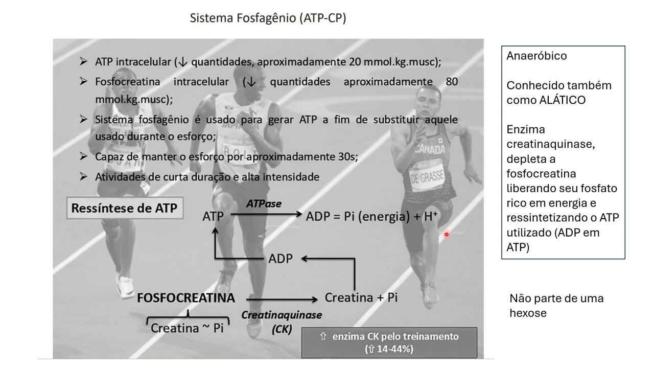 Bioquímica Energética aula 1