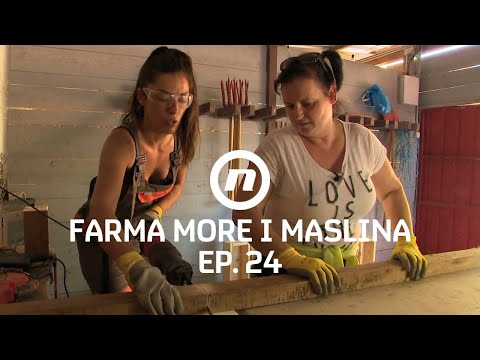 Maja prosipa mudrost - Epizoda 24 | Farma More i Maslina