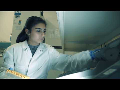 Mad For Science 2018 Progetto Liceo Einstein