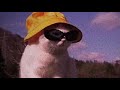 Dj Salting Dj Salting Remix Slowed Reverb Tiktok