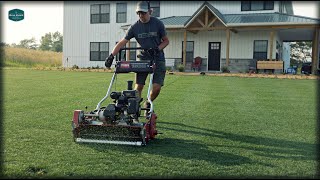 My "New" REEL MOWER + Shade Lawn Plot Updates