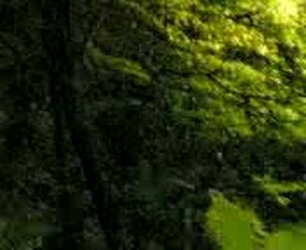 ormandaki sırlı ev