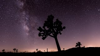 60 Seconds Timelapse of the Perseid Meteor Shower in Joshua Tree Park