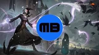 Bounce | Spinus - The Raven