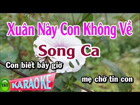 Karaoke Xuân Này Con Không Về Song Ca | Thái Tài