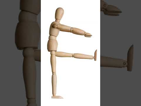 The Rectus Femoris Muscle