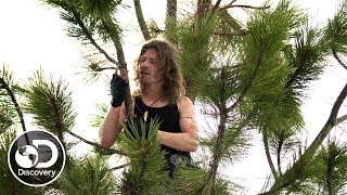 Bear Gets Wild at the New Homestead | Alaskan Bush People