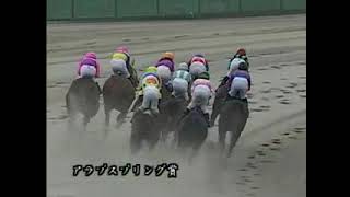 20040311　名古屋競馬のアラブ最後の大物　キジョージャンボ