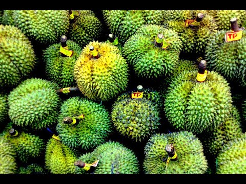 Внешность и голодание. Интервальное питание. 5 апреля 2020 года.