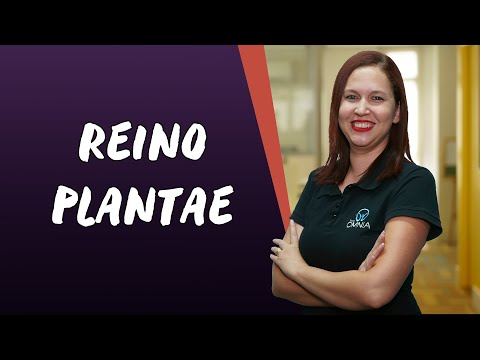 Kingdom Plantae - Brazil School