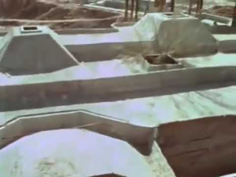 The Monkees - "Take A Giant Step" - Live 1967 (fan restoration for Micky's vocals)