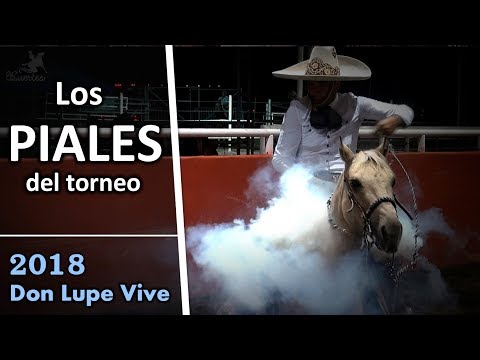 All the PIALES of the Tournament - Don Lupe Vive 2018