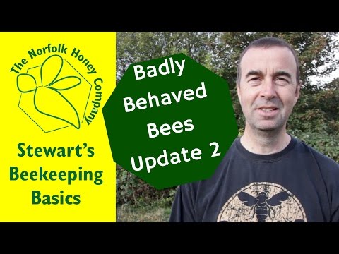 Badly Behaved Bees Update 2 - #Beekeeping Basics - The Norfolk Honey Co.